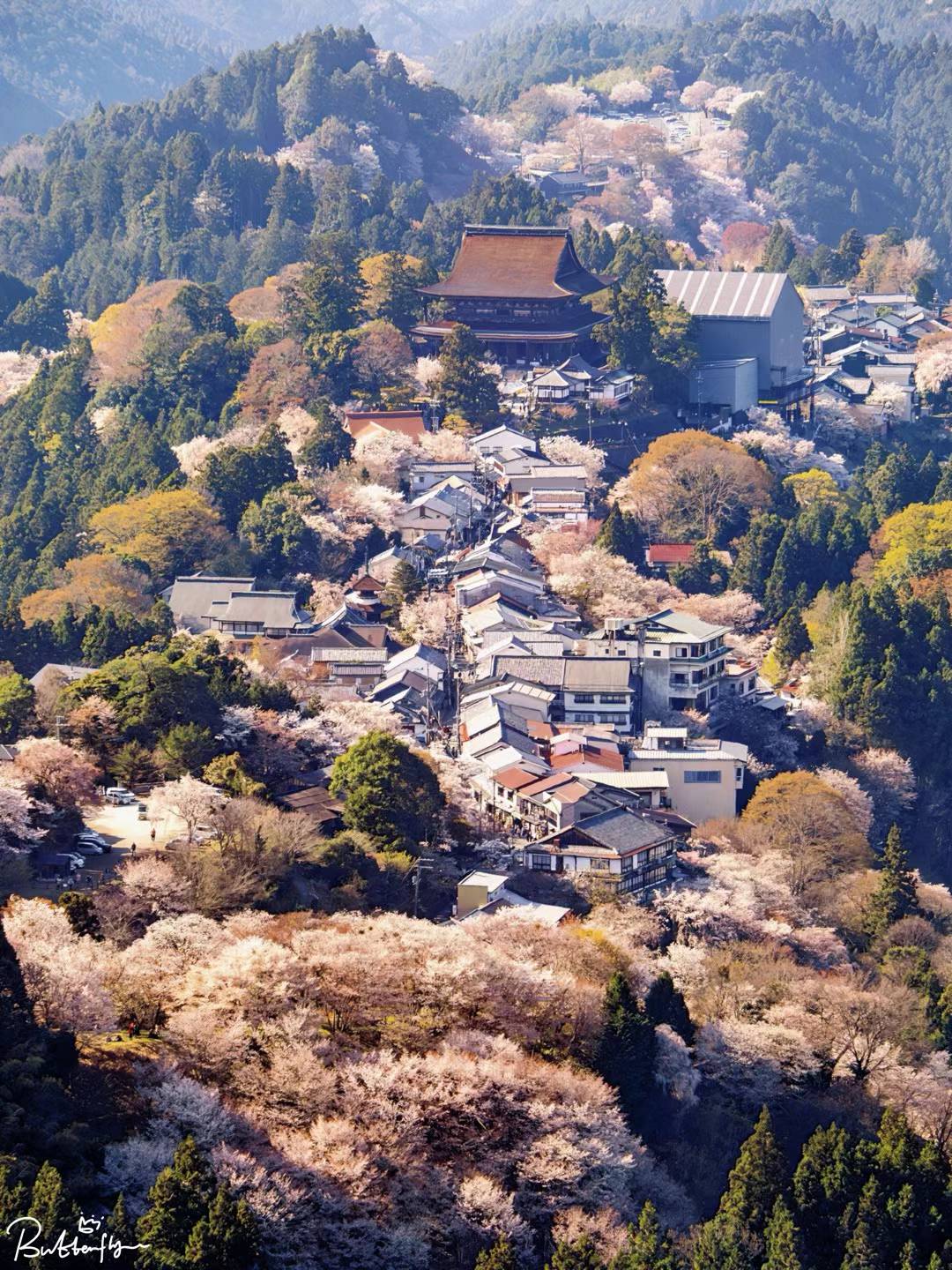 花屋櫓瞭望台 - 花屋櫓瞭望台位於吉野禦弓神社街對面，正上方是可以俯瞰吉野山上千本地區的陡坡。觀景點的位置讓遊客向下看