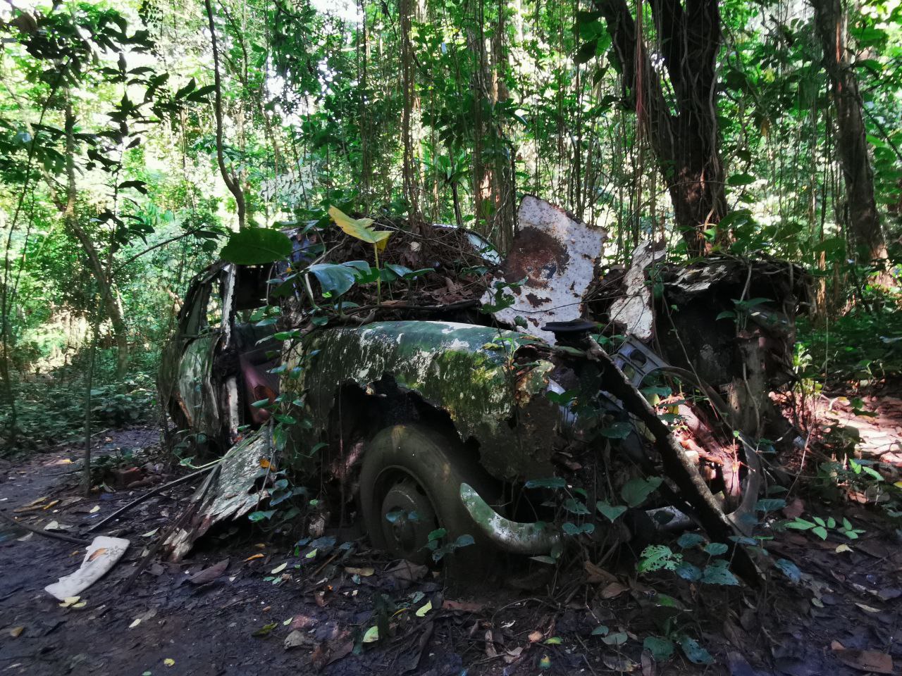 Hidden Hiking Trails in Singapore