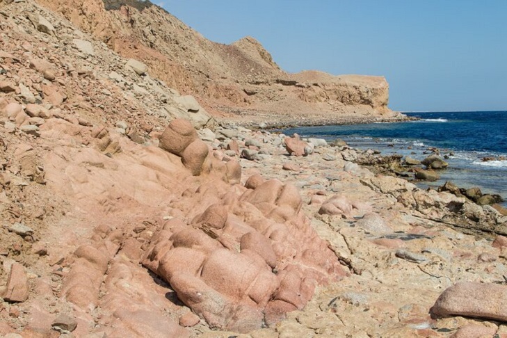 Safari by ATV Quad Bike Tour & Camel and Transfer - Sharm El Sheikh