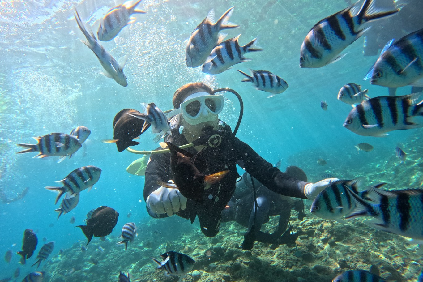 Okinawa Blue Cave Snorkeling & Diving Experience Multilingual Instructor
