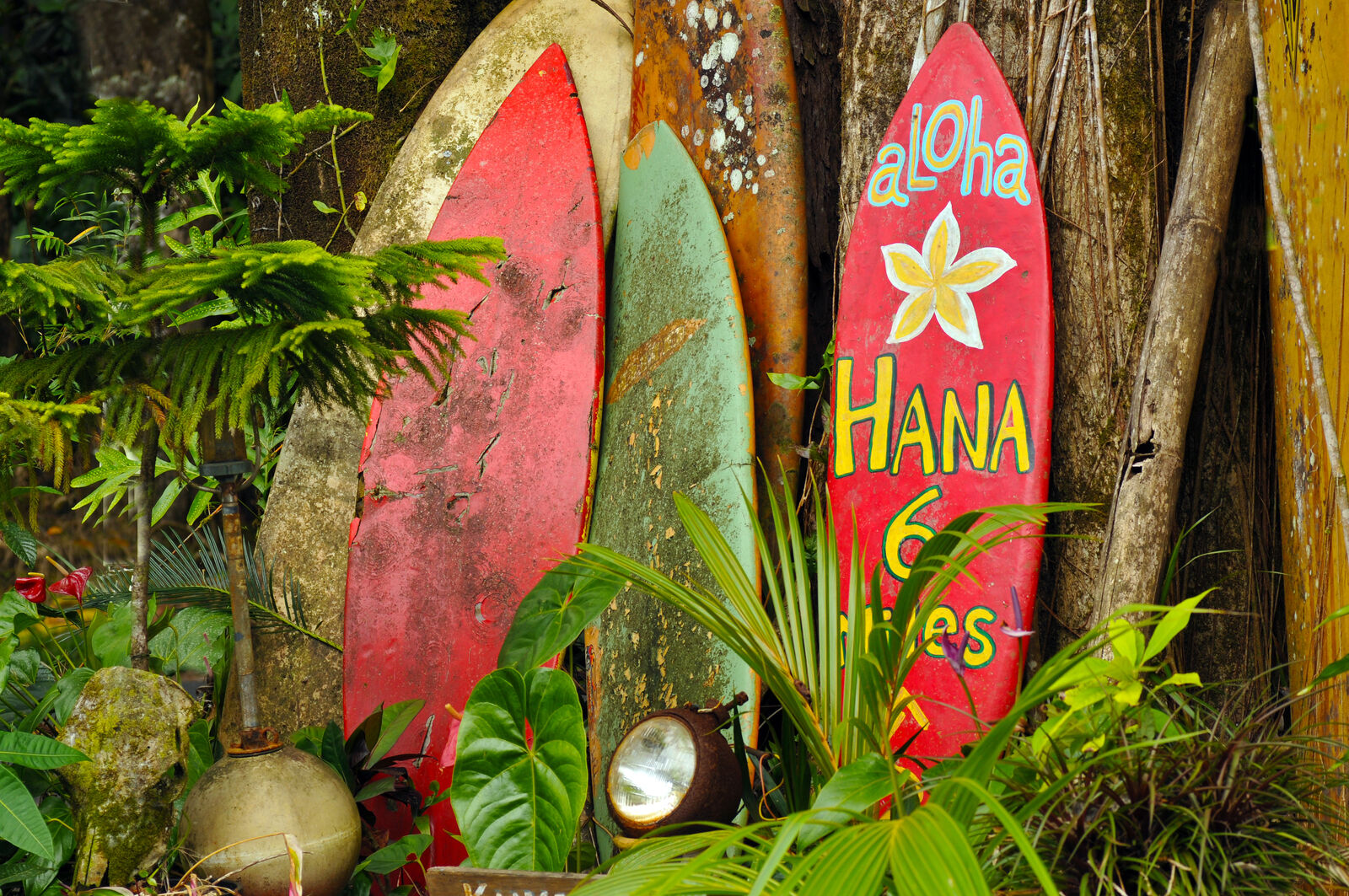 [Korean Guide] [Private Tour] Only one family! A solid Oahu one-day island tour! Slowly and leisurely explore Hawaii, a paradise on Earth! [YJ Tour]