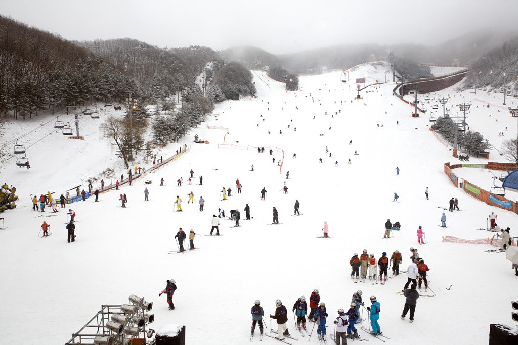 ⚠️If you purchase the "Exclusive Package for Ski Experiencers" but are unable to use the ski resort by yourself on the day, you must attend the morning ski lesson. (Additional amount 20,000 won)