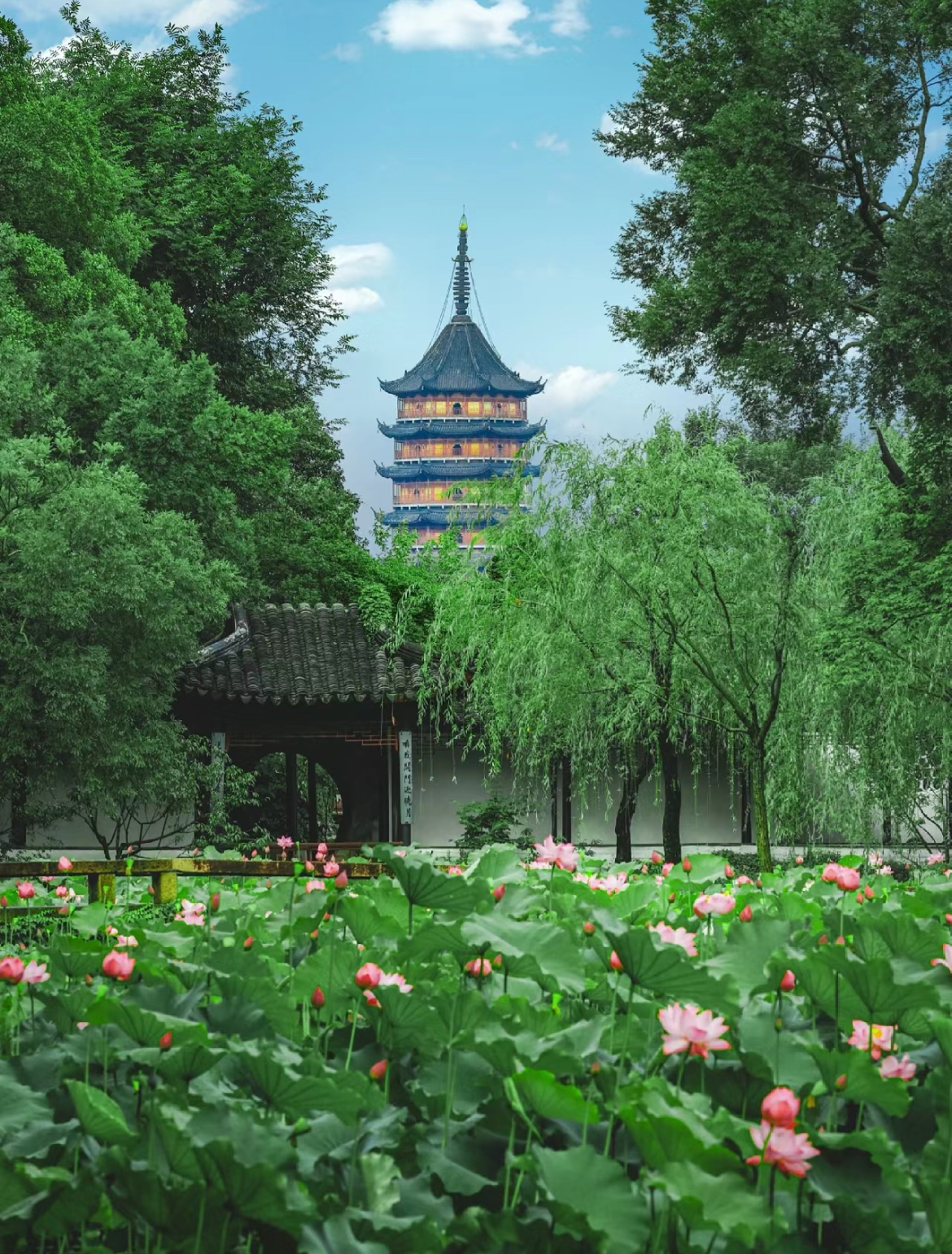 [China Railway Tour] One-day classic route from Shanghai to Suzhou: Humble Administrator's Garden + Pingjiang Road + Hanshan Temple + Qilishantang Night View