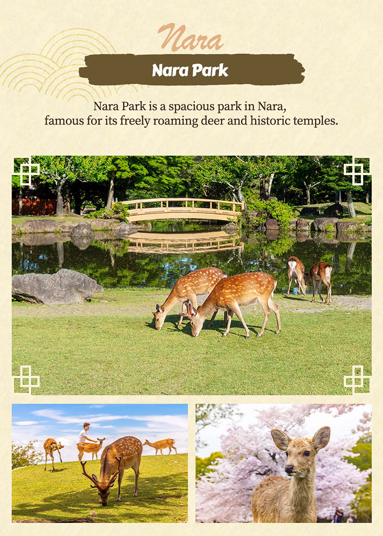京都 & 奈良精華遊：清水寺, 伏見稻荷大社, 宇治平等院, 奈良公園, 東大寺 (大阪出發)