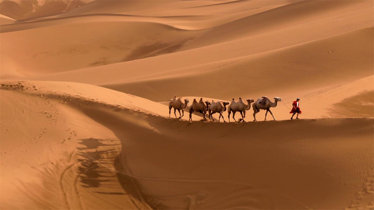 仙沙島遊玩項目 仙沙島是響沙灣主打刺激沙漠遊樂的核心區域，有 “沙漠迪士尼” 之稱，項目豐富且兼顧成人與親子。