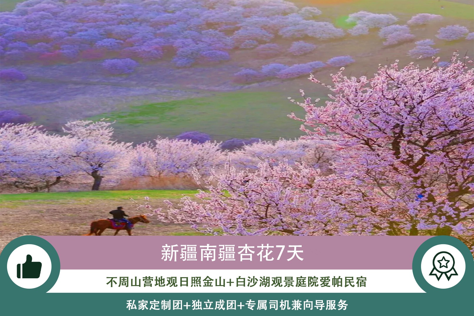 新疆南疆杏花私家7日（不周山野奢營地+日照金山+白沙湖觀景愛帕民宿+塔爾鄉杏花村+木吉冰火幻境+盤龍古道+慕士塔格4號冰川+雪柳樹洞）