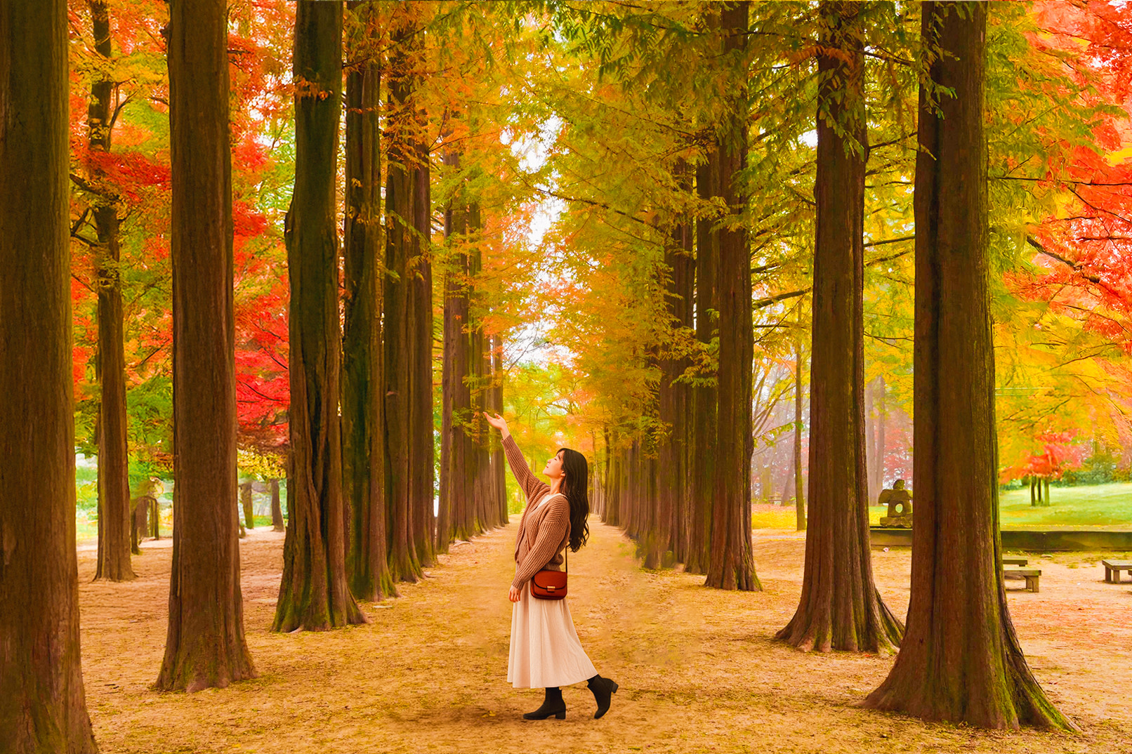 Seoul Nami Island Full-Day Big Group Sightseeing Tour