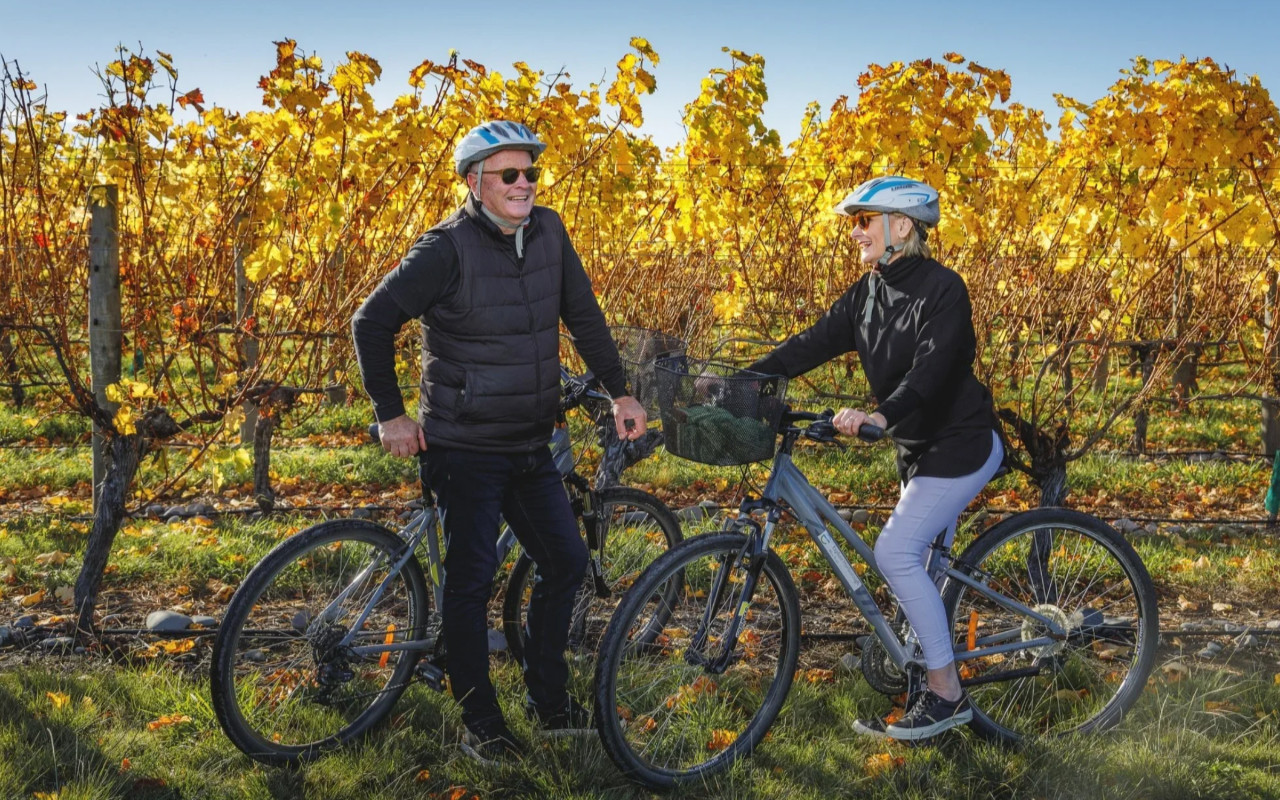 Self-Guided Marlborough Winery Bike Experience