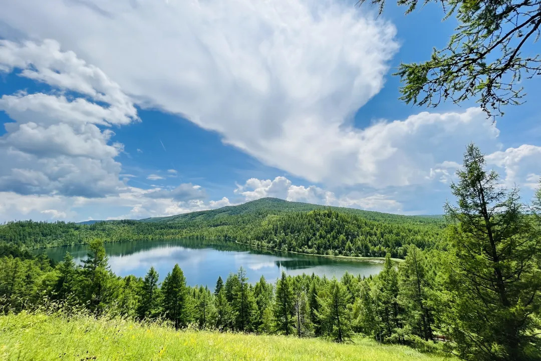 Summer Grassland | Inner Mongolia Hulunbuir + Arxan 7-Day Tour