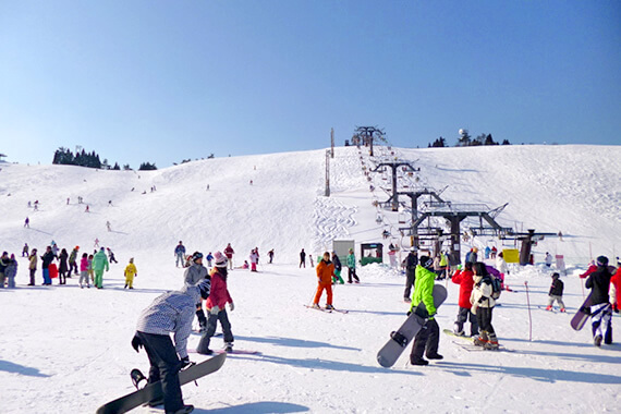 從大阪和京都出發的函館山滑雪一日遊