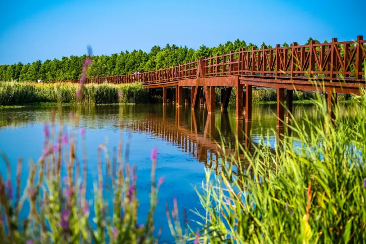Dongtan Wetland Park