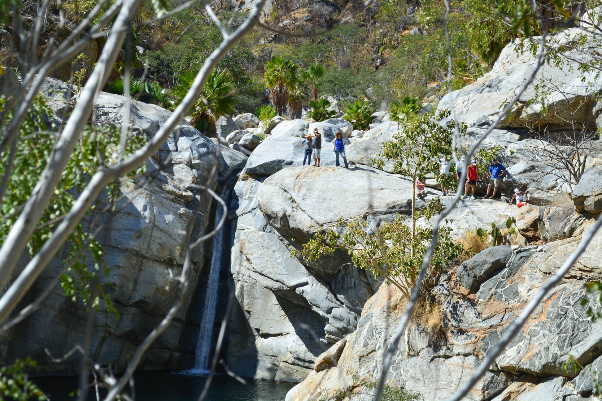 Let us take you hiking in Cabo San Lucas to the stunning Fox Canyon for a scenic and informative walk.