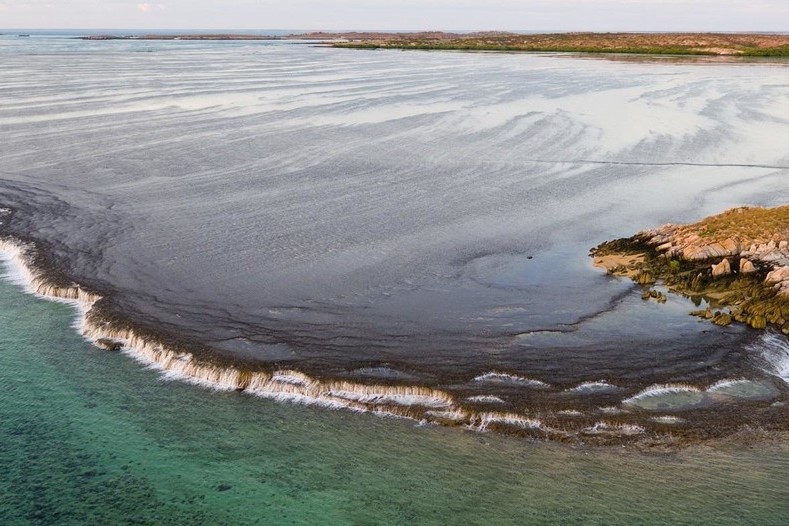 Waterfall Reef Sea Safari in Cygnet Bay