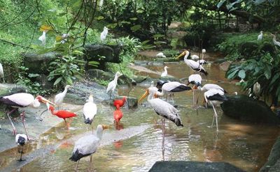 Gardens & Parks Half Day Tour