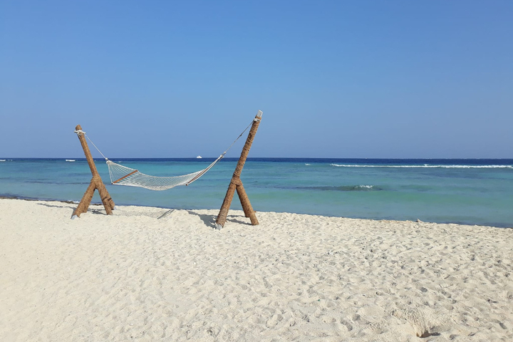 洪加達出發 - 烏托邦島浮潛之旅（含午餐）