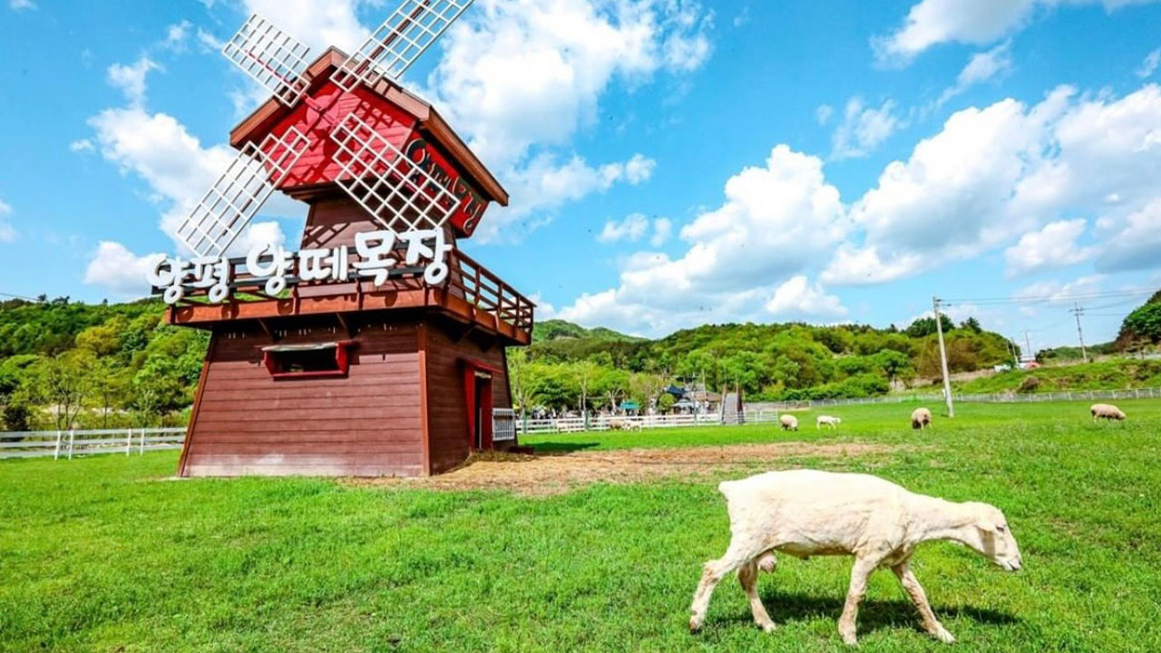 廣闊的牧場，帶給您截然不同的鄉村風情。