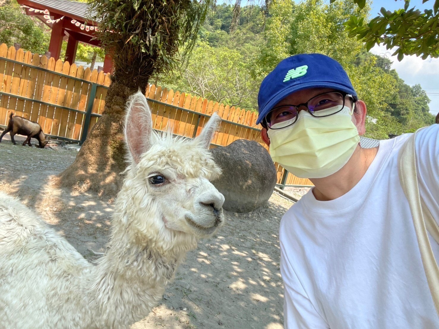 Changpi Lake Elf Village Cute Animal Area