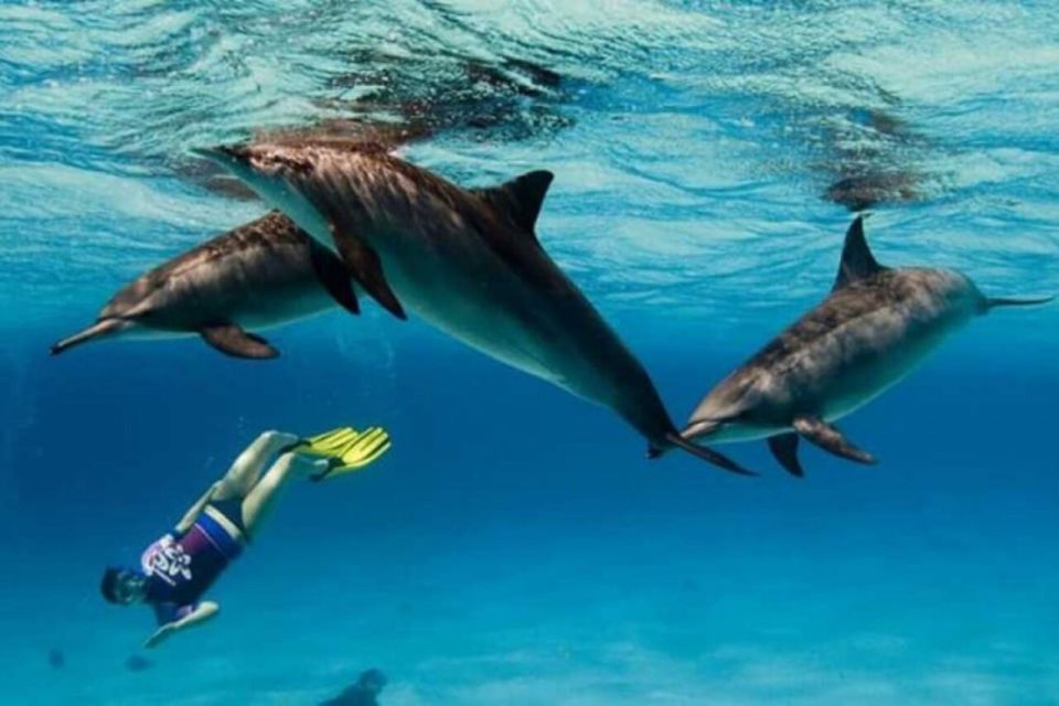 Marsa Alam: Hamata Islands Snorkeling Trip with Lunch