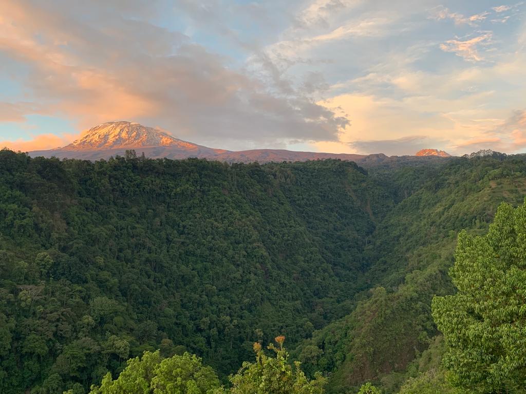 Arusha National Park Day Trip