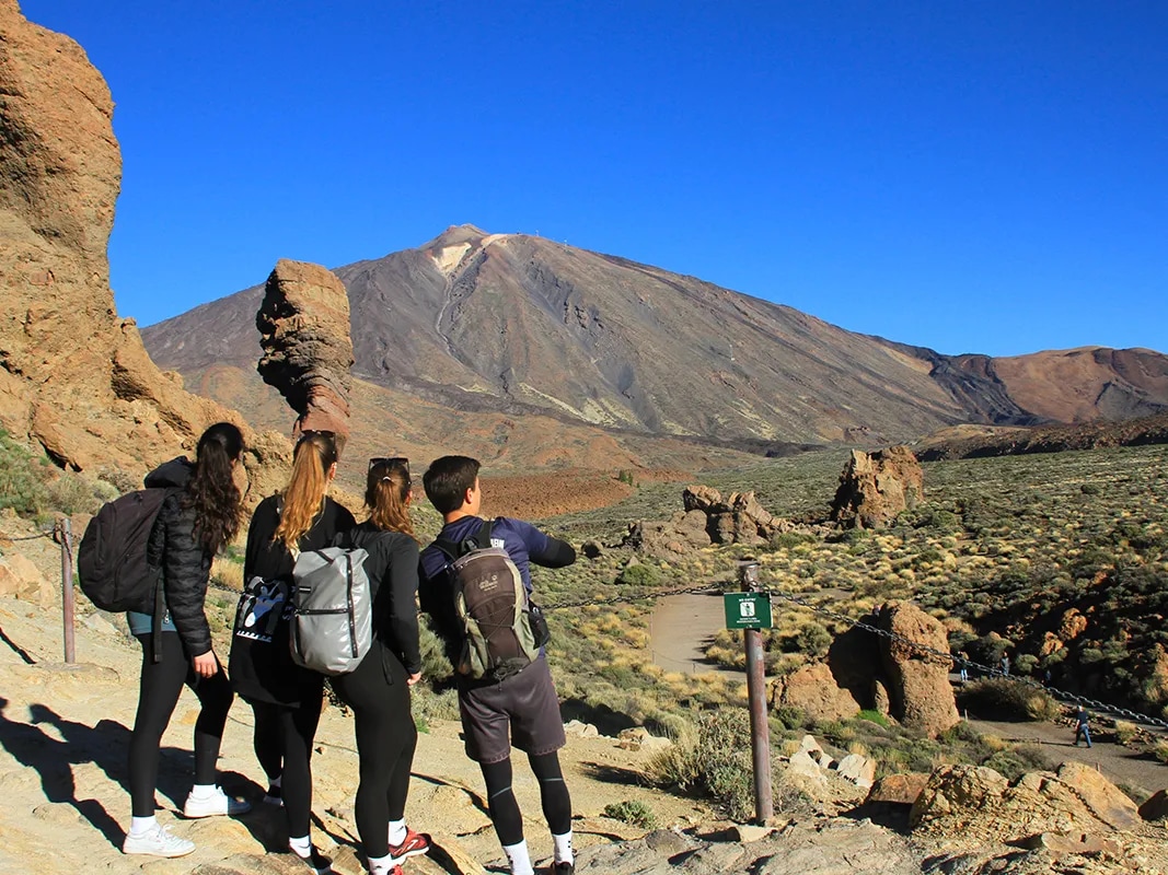 Mount Teide Half Day Tour