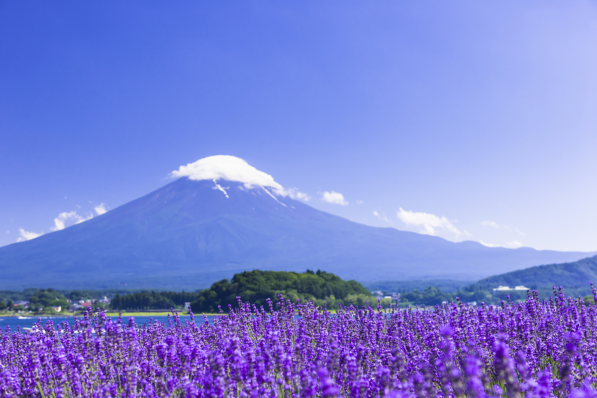 富士山壯麗美景一日遊（東京出發）