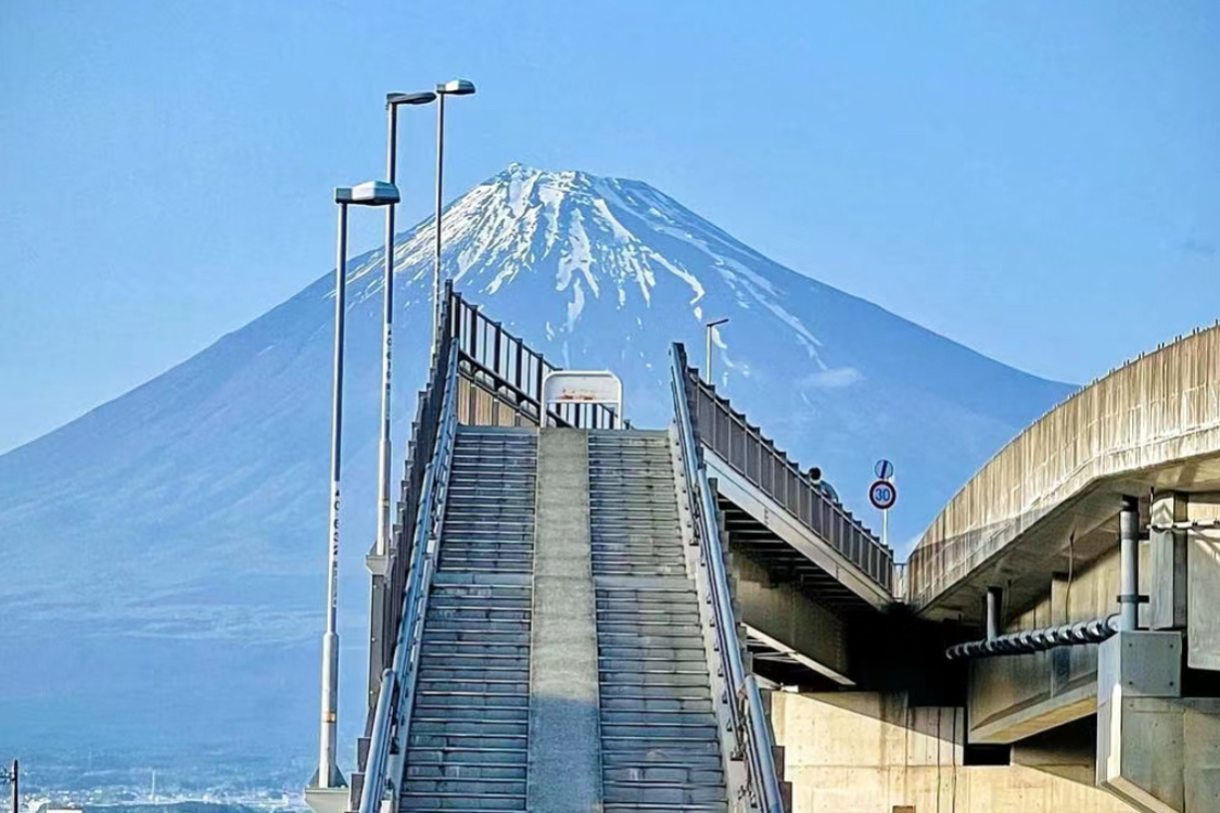 【富士山最新打卡热点一天游】新仓山浅间公园&日川时计店&麦当劳吉田店&梦之大桥&沼津鱼市场一日游 （少人精致小团可酒店接送）
