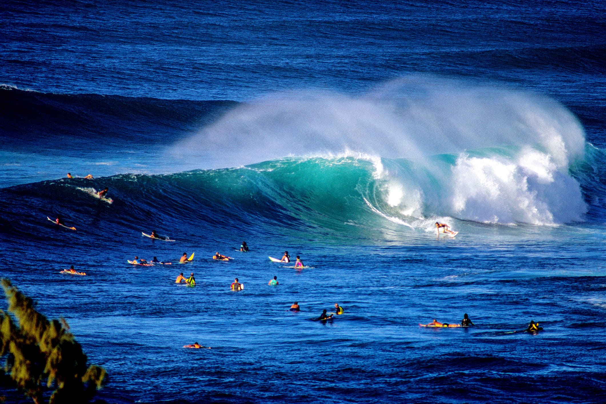 Half-Day Small Group Exploration Tour of O'ahu's North Shore