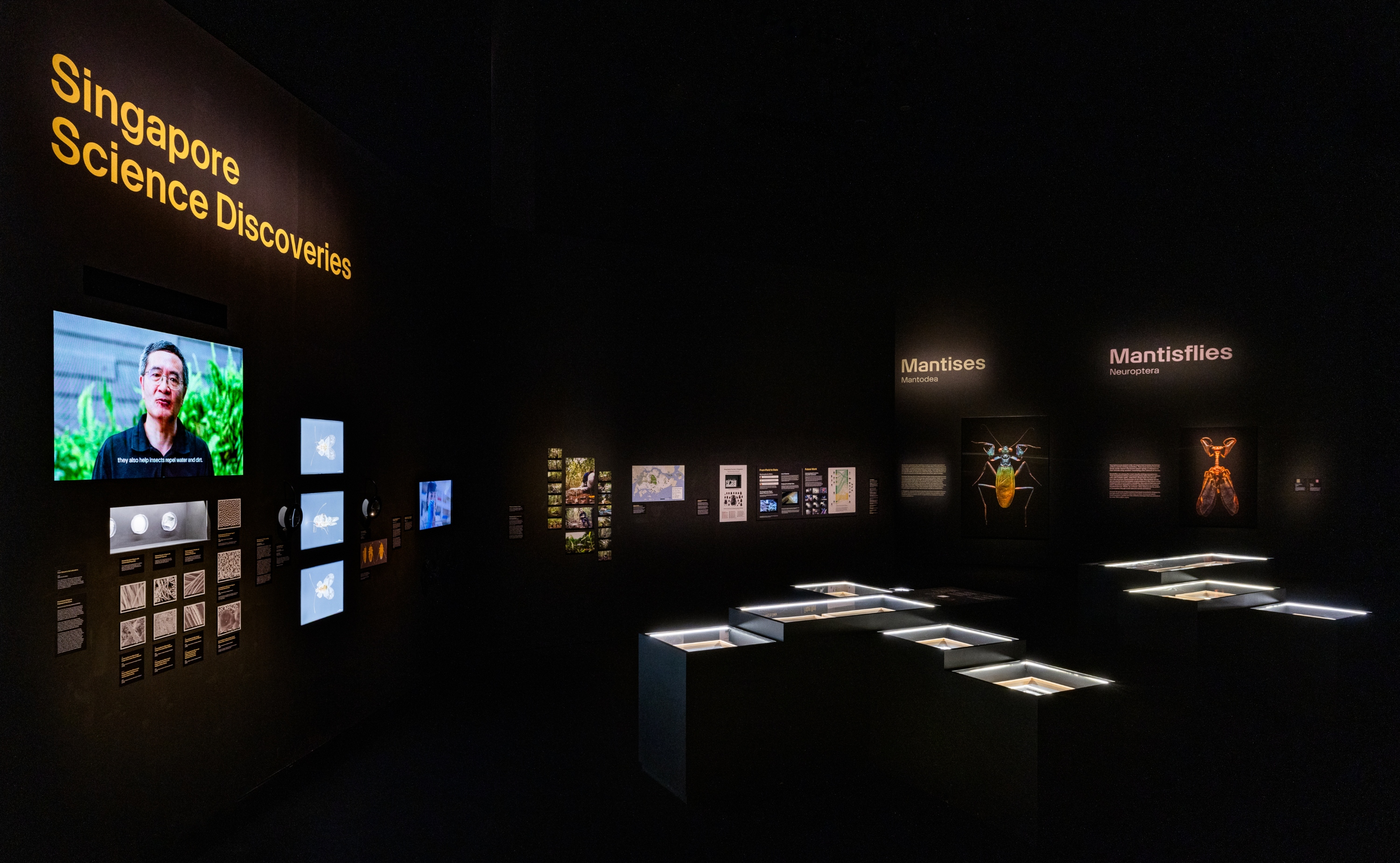 本次展覽展示了包括新加坡科技研究局生物工程與生物影像研究院以及南洋理工大學熱帶生態與昆蟲學實驗室在內的機構的研究成果 本次展覽展示了包括新加坡科技研究局生物工程與生物影像研究院以及南洋理工大學熱帶生態與昆蟲學實驗室在內的機構的研究成果