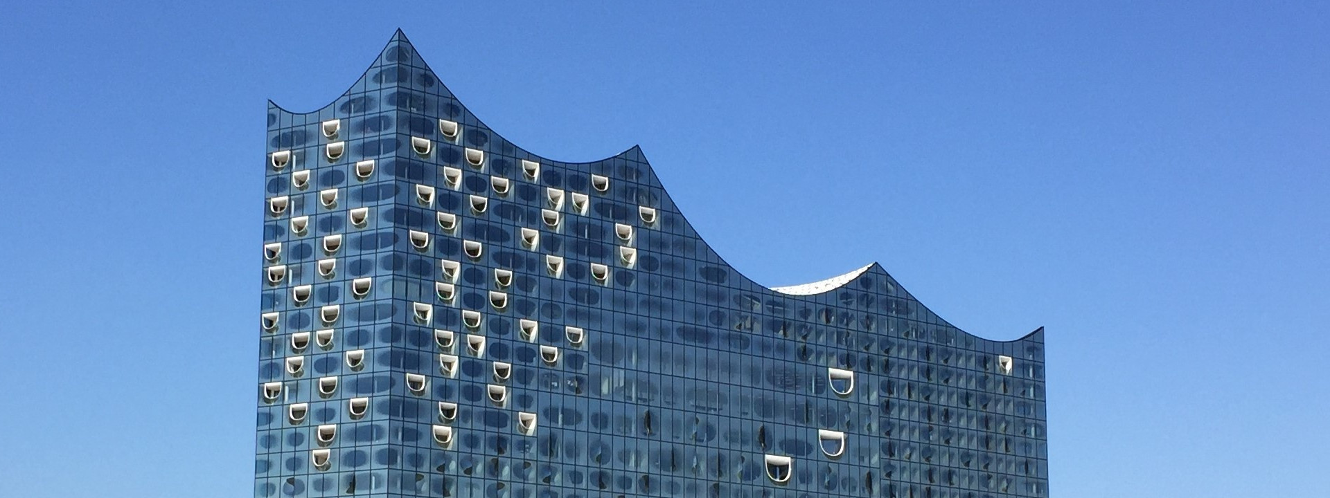 Hamburg Elbphilharmonie Guided Walking Tour