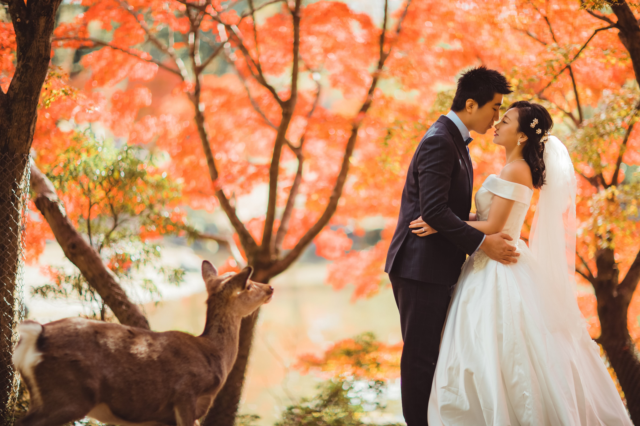 奈良公園 - 廣闊的公園,有自由漫步的鹿群,並可欣賞東大寺的景色,提供有趣且標誌性的畫面。 奈良公園 - 廣闊的公園,有自由漫步的鹿群,並可欣賞東大寺的景色,提供有趣且標誌性的畫面。