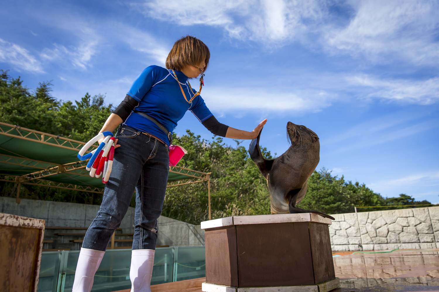 栃木那須動物王國門票