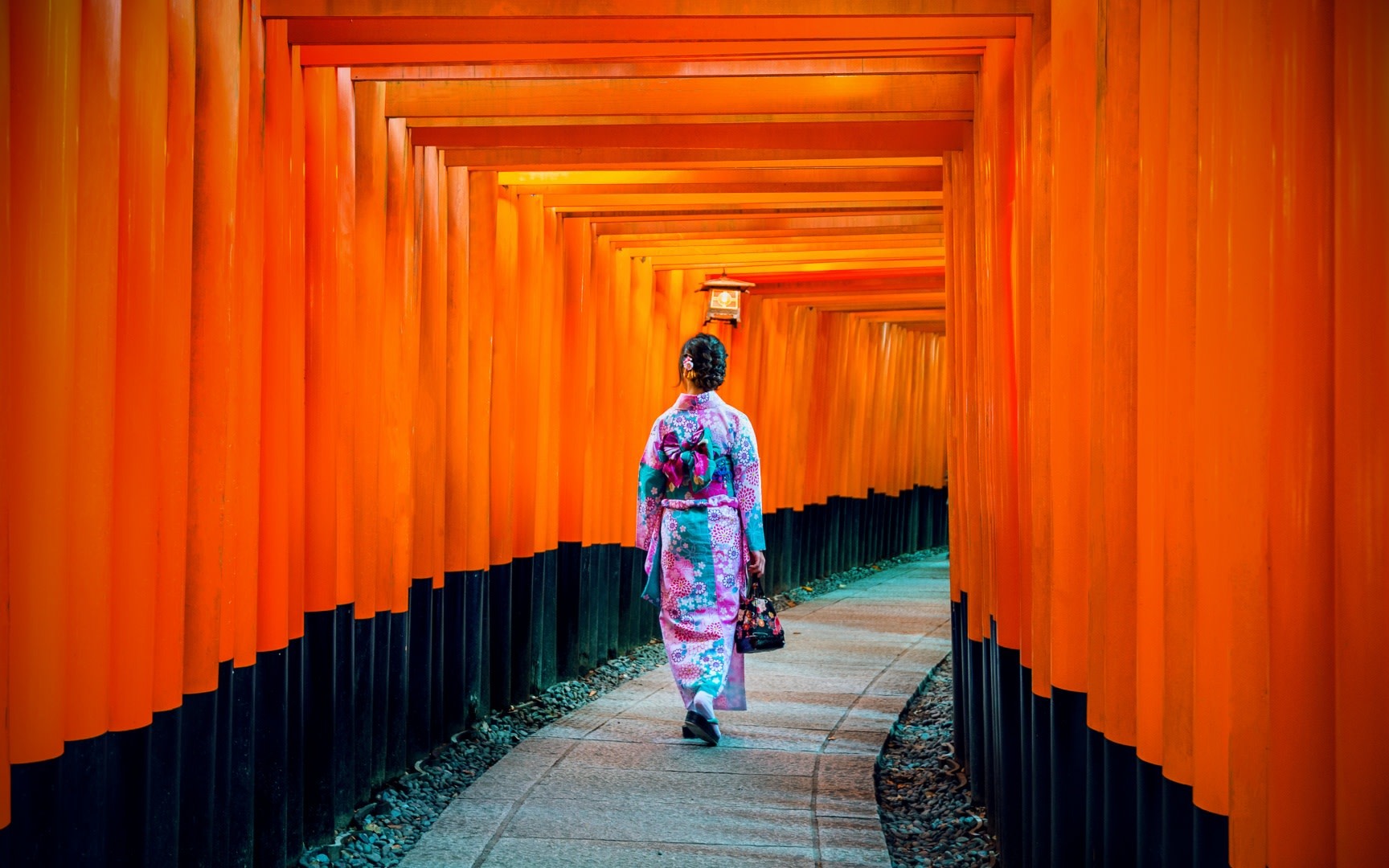 Classic Panoramic Tour: A Day Trip to Kyoto and Nara to Encounter Adorable Deer