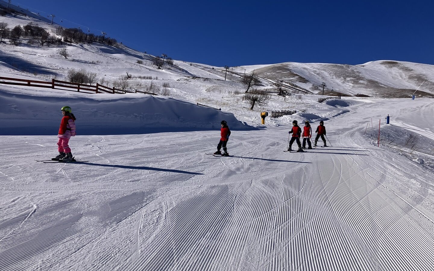 Borjomi & Bakuriani One-Day Ski Route Tour