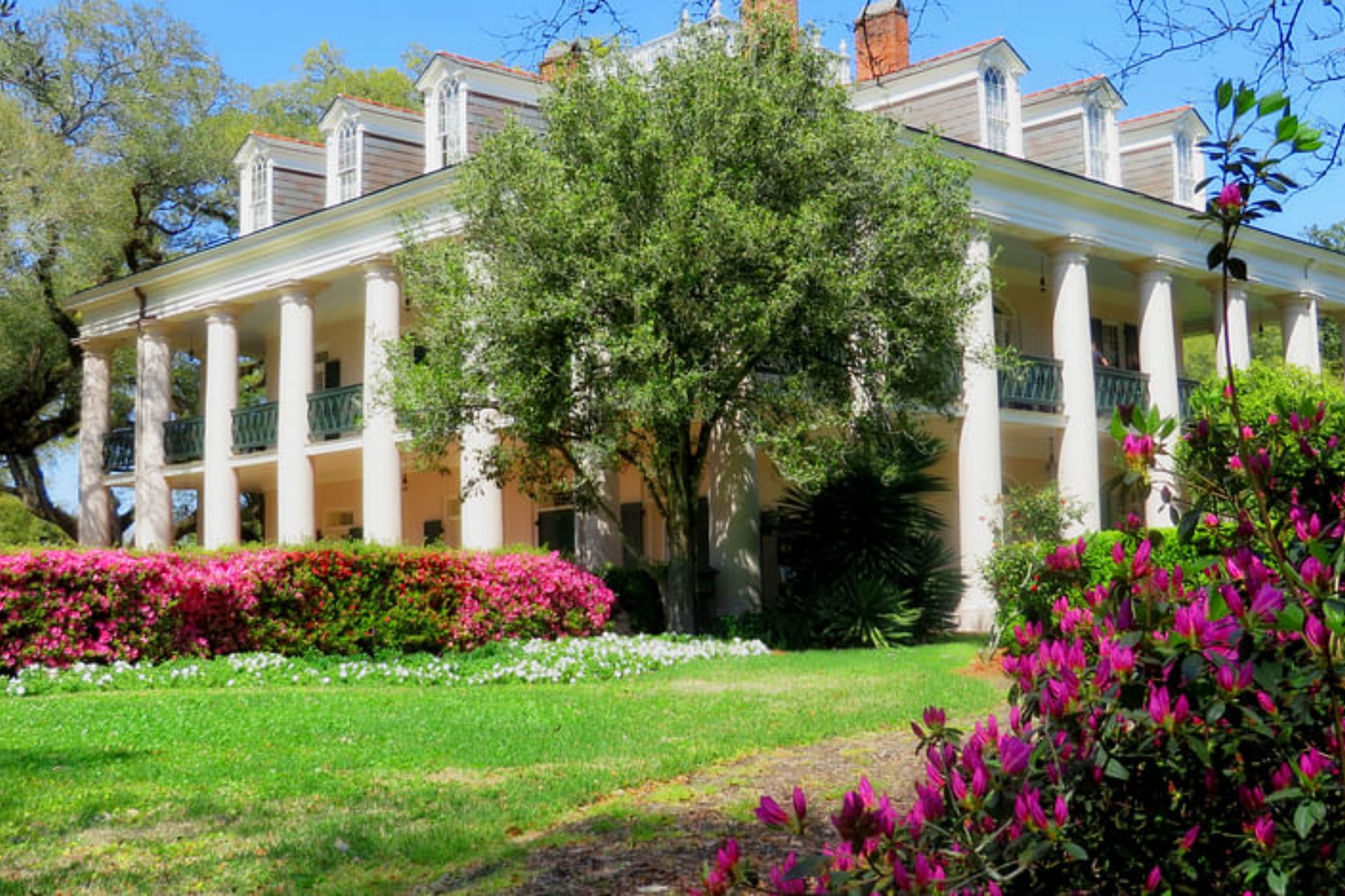 Swamp Boat Ride and Oak Alley Plantation Tour from New Orleans