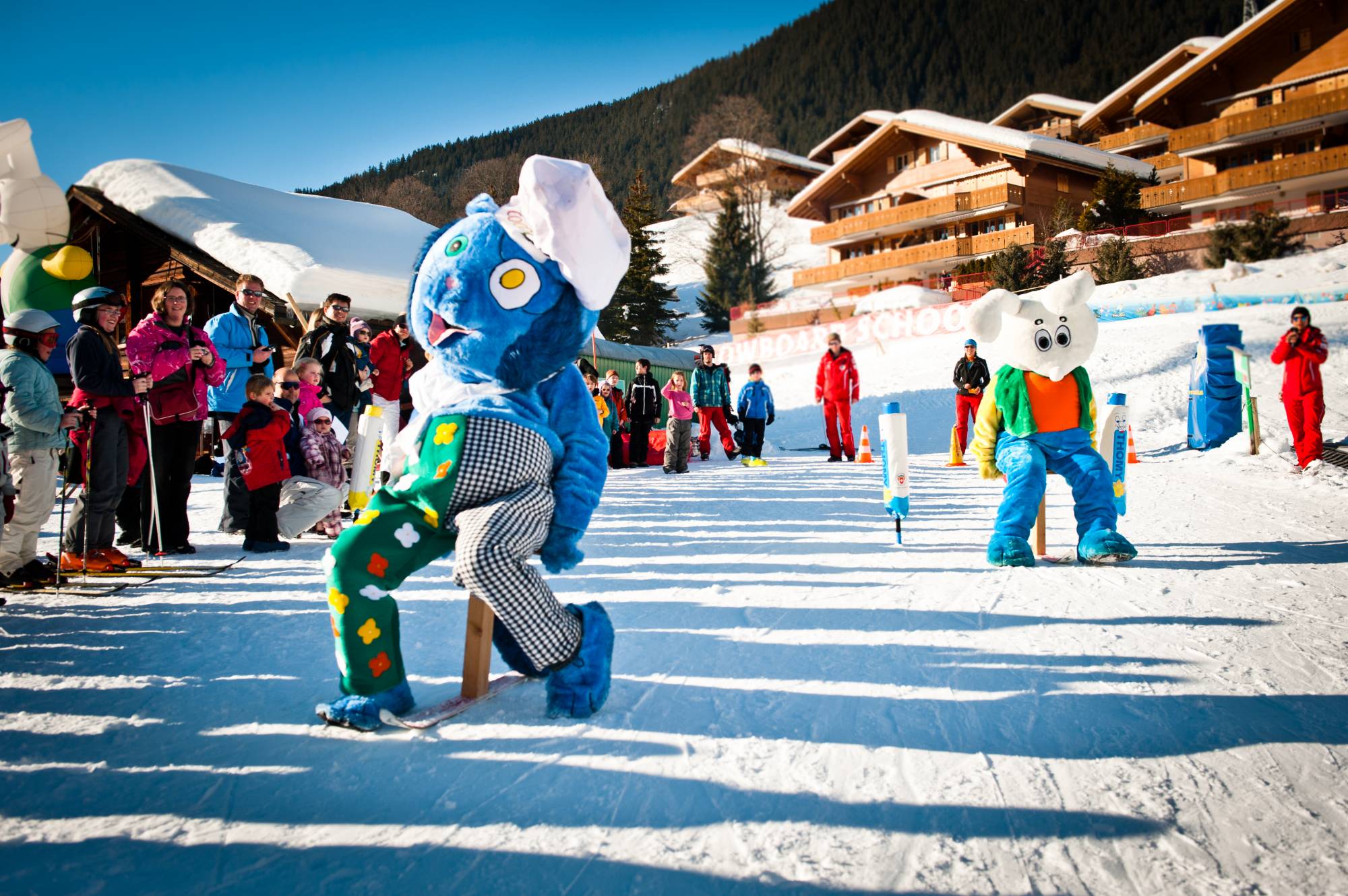 Grindelwald Bodmi Arena Sledding and Tubing