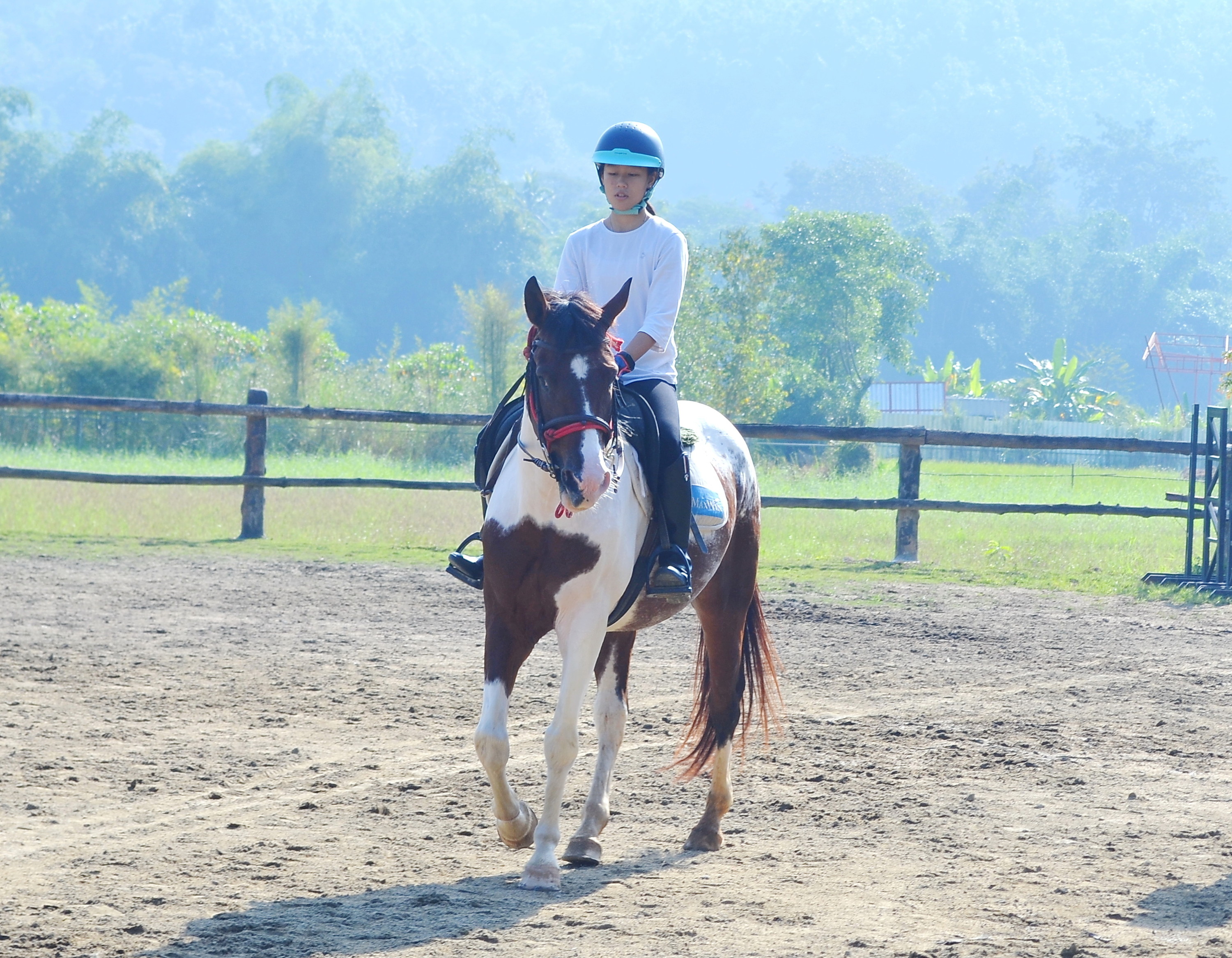 Half-day horseback riding tour with a visit to Wat Ton Kwen