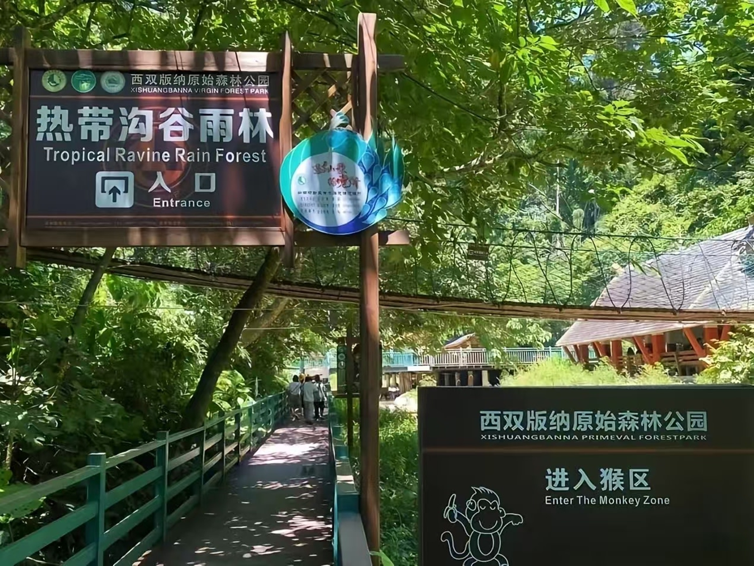 北迴歸線以南保存最完好的熱帶溝谷雨林，還有孔雀繁殖基地、猴子馴養基地、大型民族風情演藝場、民族風味燒烤場等；獨特的熱帶溝谷雨林橫亙整個園區