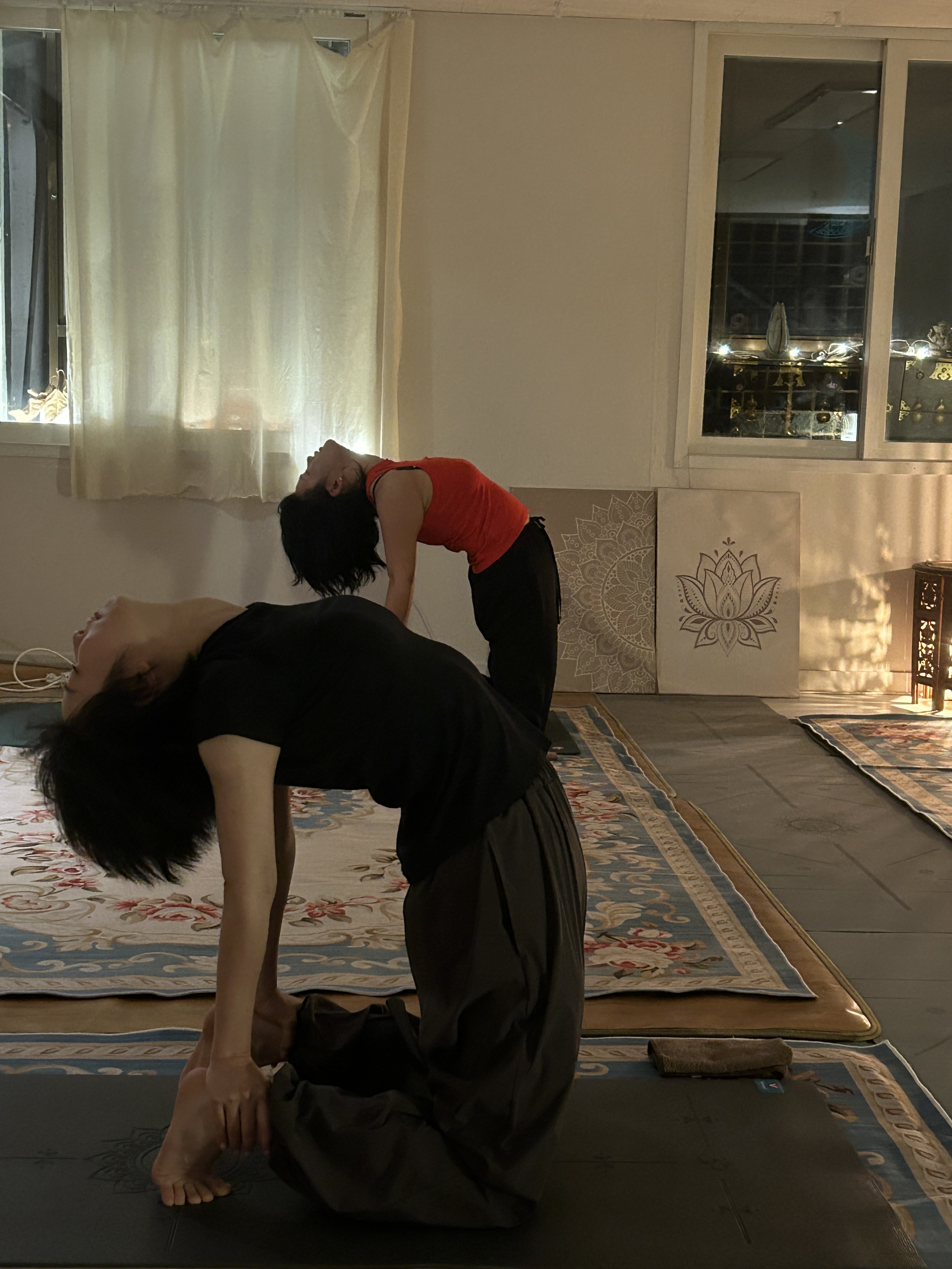 Classic Hatha Yoga & Puer Tea Talk Experience in Seoul