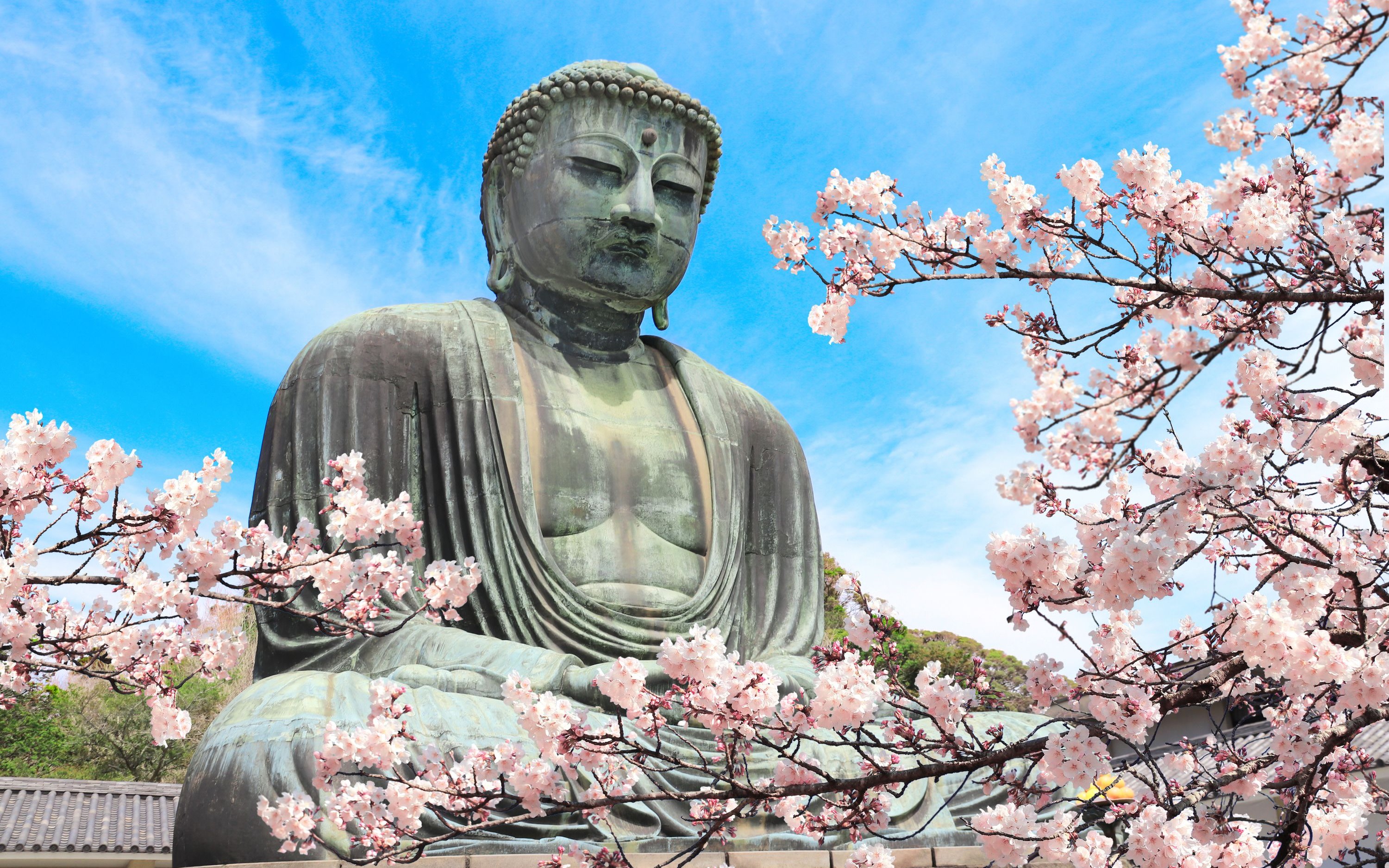 Kamakura, Enoshima & Yokohama Day Trip from Tokyo with Enoden Train