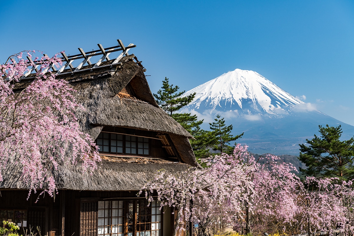 富士山新倉山淺間公園＆傳統日本村莊之旅