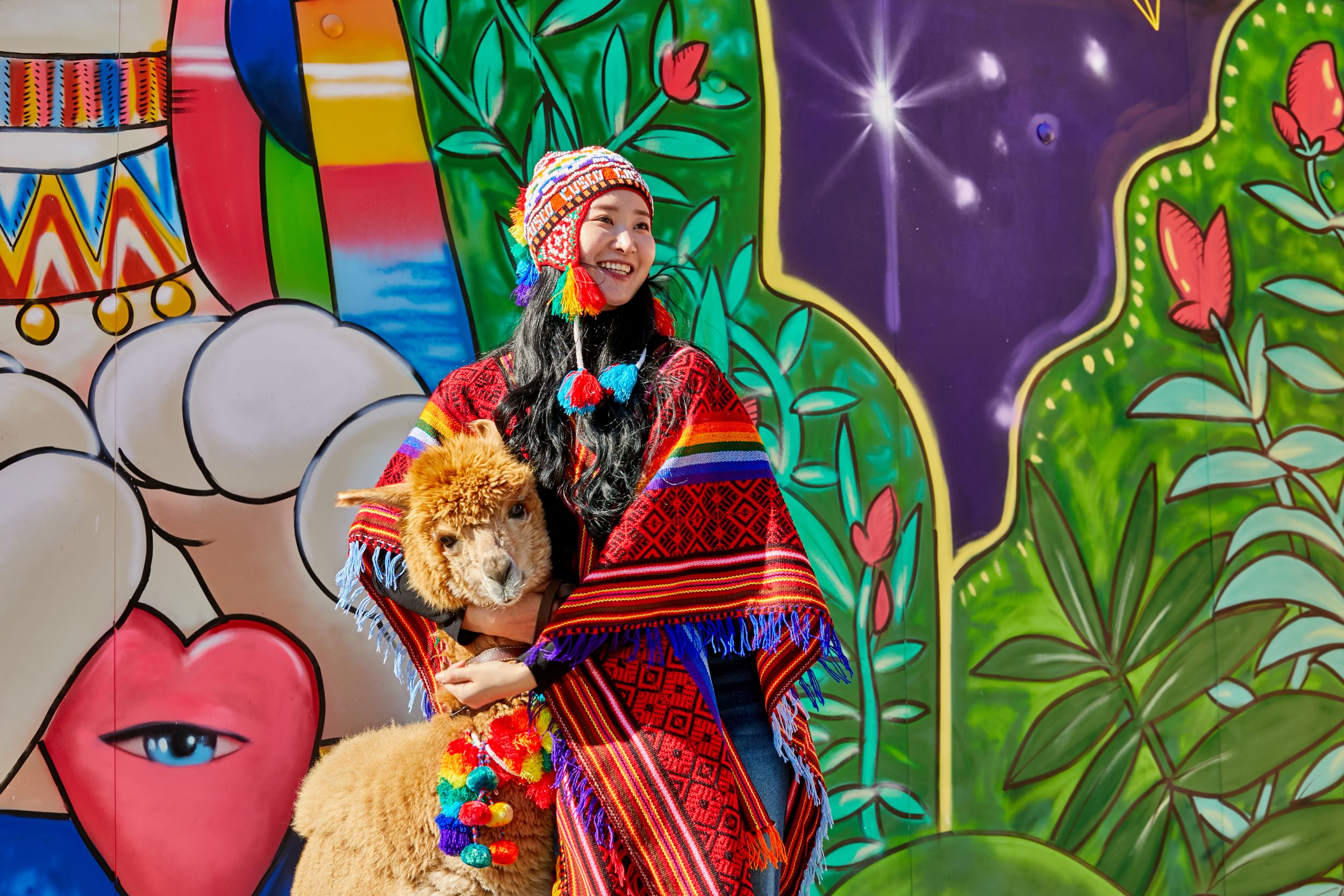 近距離餵食友好的草泥馬,享受愉快的時刻。 近距離餵食友好的草泥馬,享受愉快的時刻。