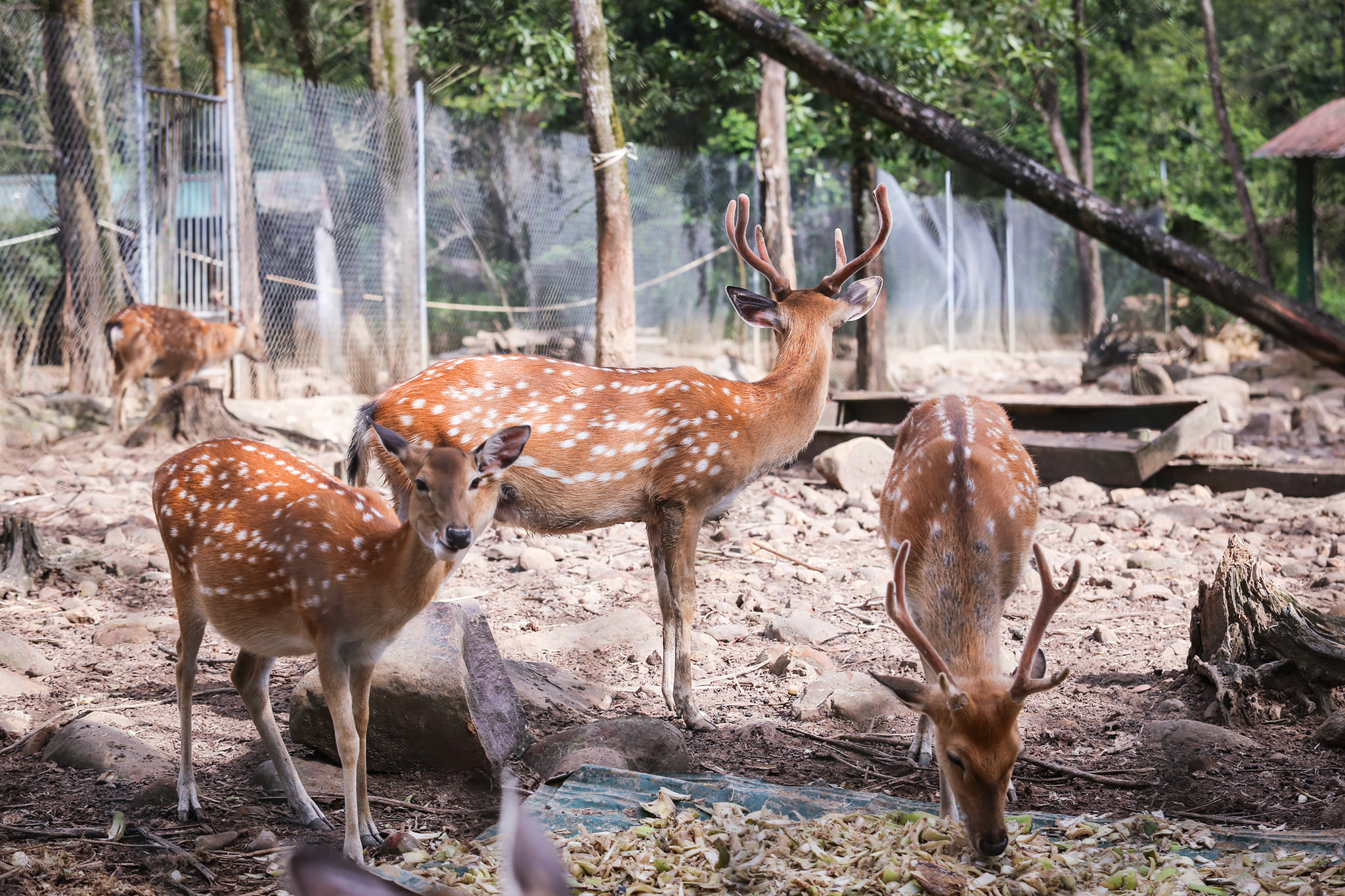 順化 Alba Thanh Tan Hot Springs 溫泉區門票