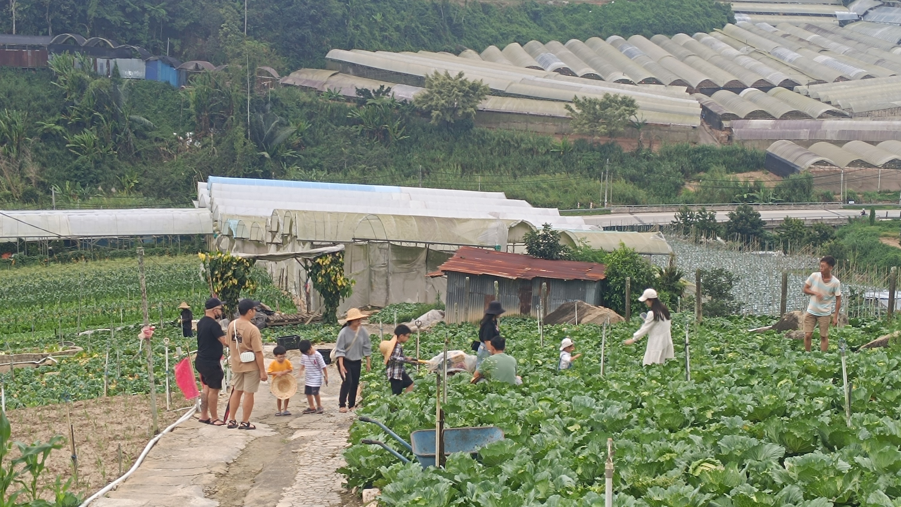 金馬崙高原吉姆菜園門票