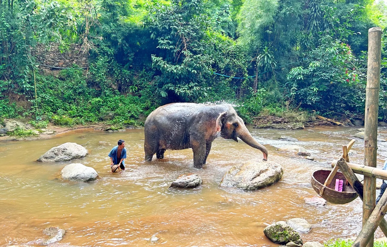 清邁夢境山（Moncham）靜休 & 大象保護區冒險之旅