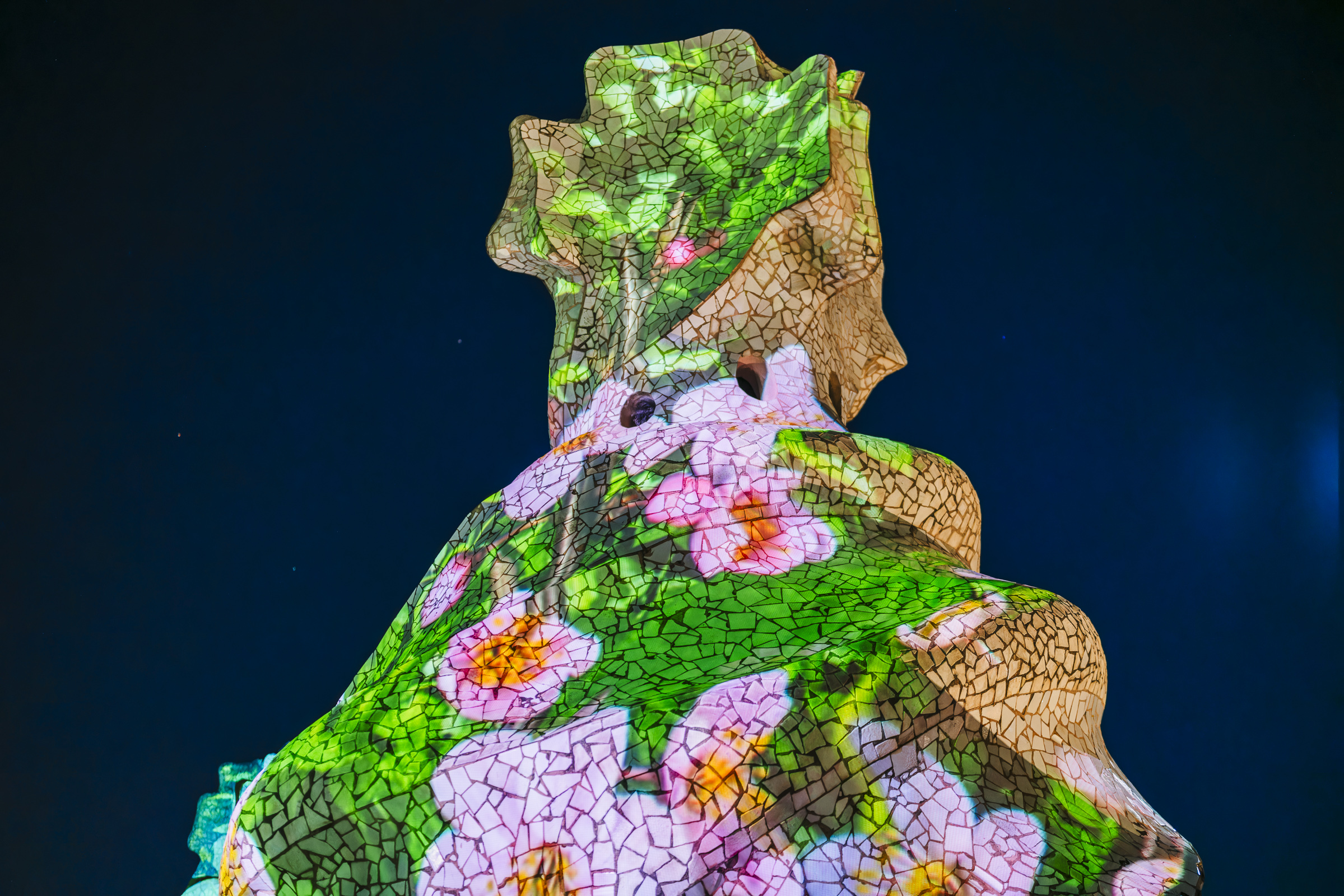 La Pedrera flower projection