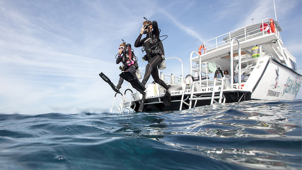 Refresh your diving skills in Hurghada with PADI 5 star centre