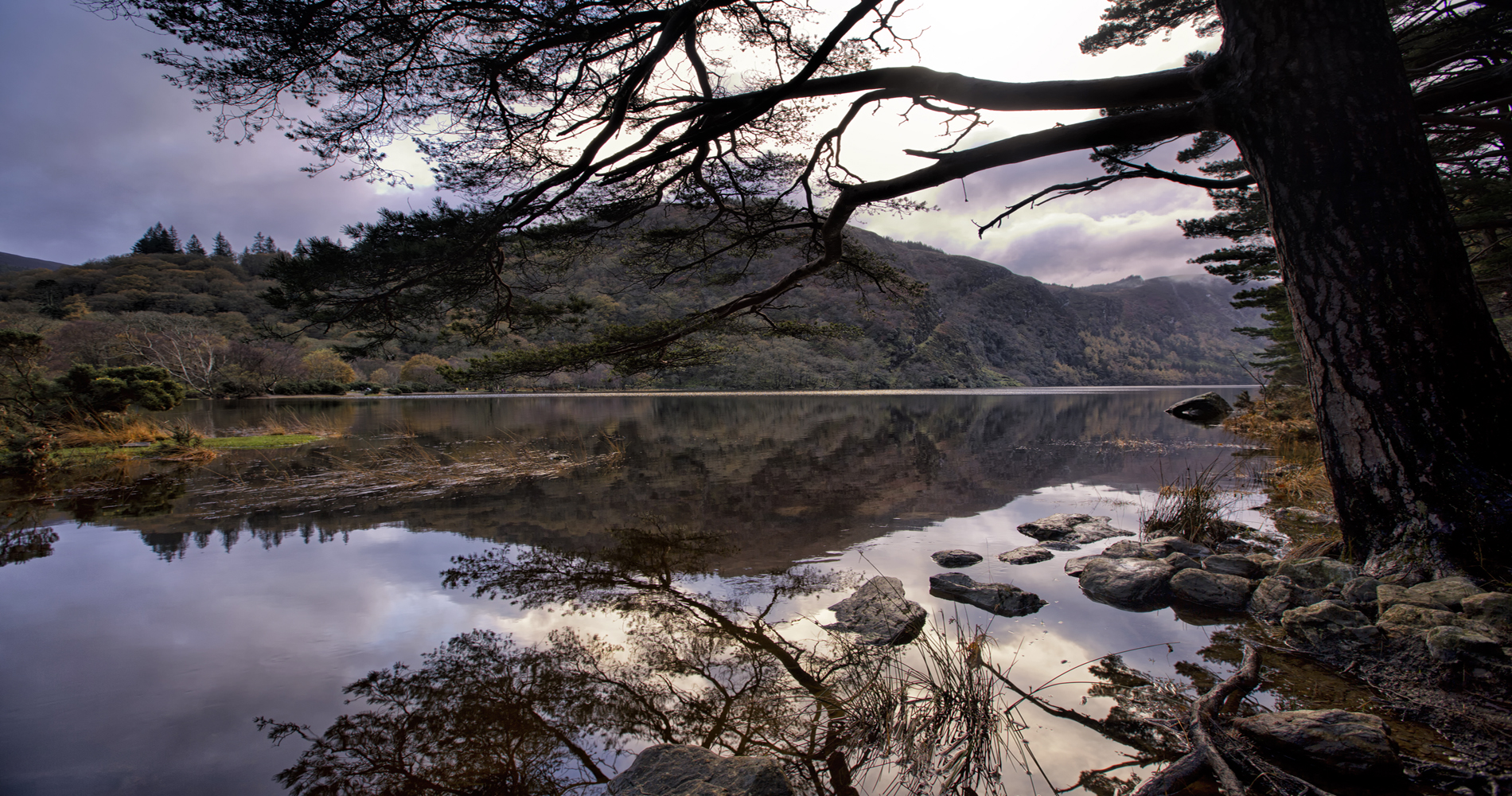 mountain and tree in glendalough
