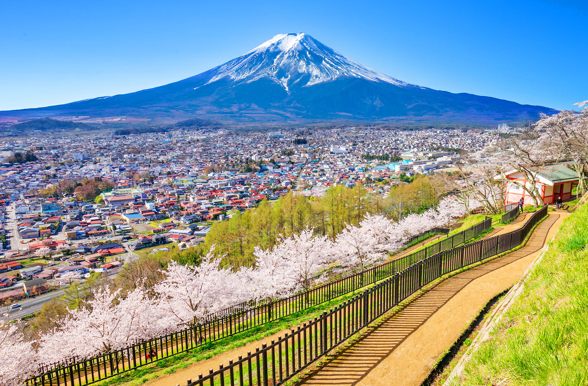 站在新倉山淺間公園的展望臺,富士山的壯麗景色盡收眼底~ 站在新倉山淺間公園的展望臺,富士山的壯麗景色盡收眼底~