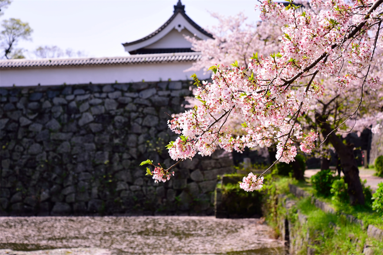 九州糸島｜白絲瀑布·雷山千如寺·一蘭拉麵之森·櫻井二見浦 夫婦巖一日遊｜福岡出發