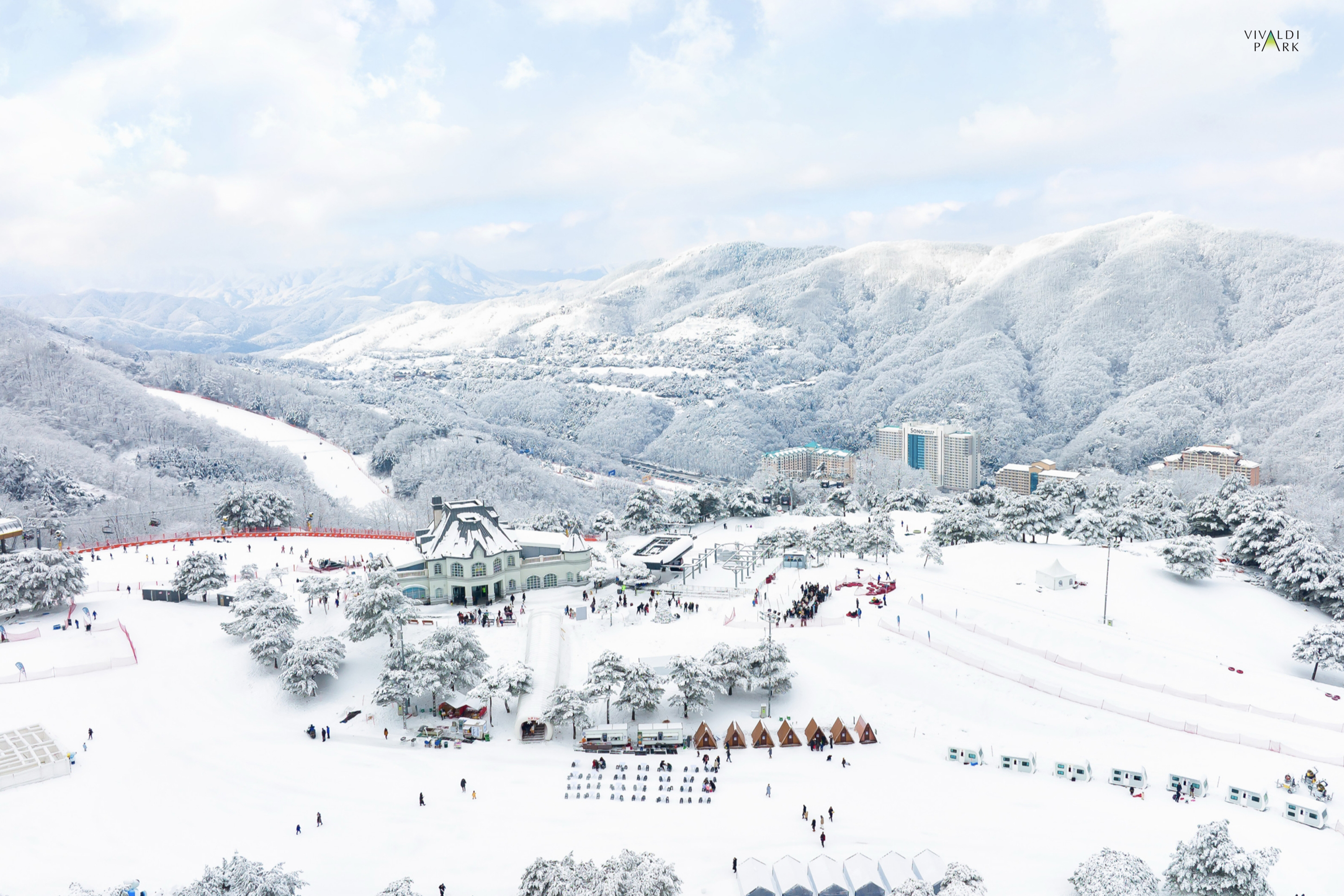 resort guests with trees in the background